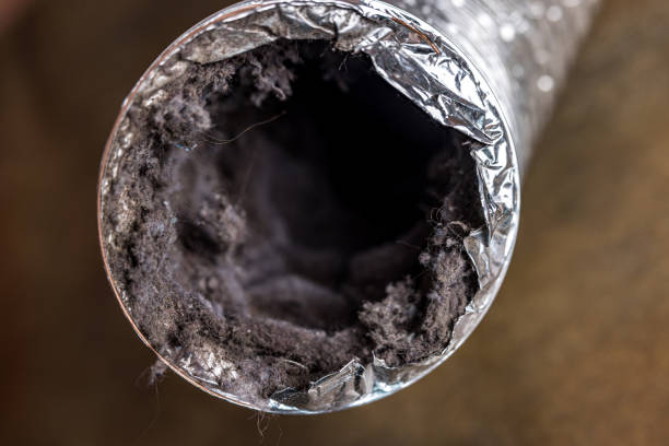 Best Residential Air Duct Cleaning in Neoga, IL